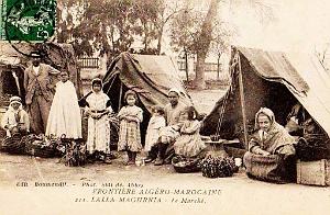 Marnia 264